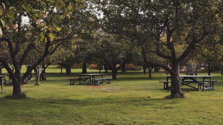 park walk get togheter, mindful walking