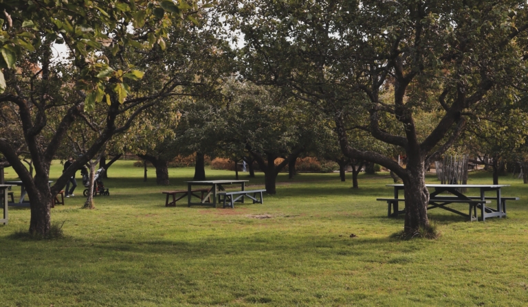 park walk get togheter, mindful walking