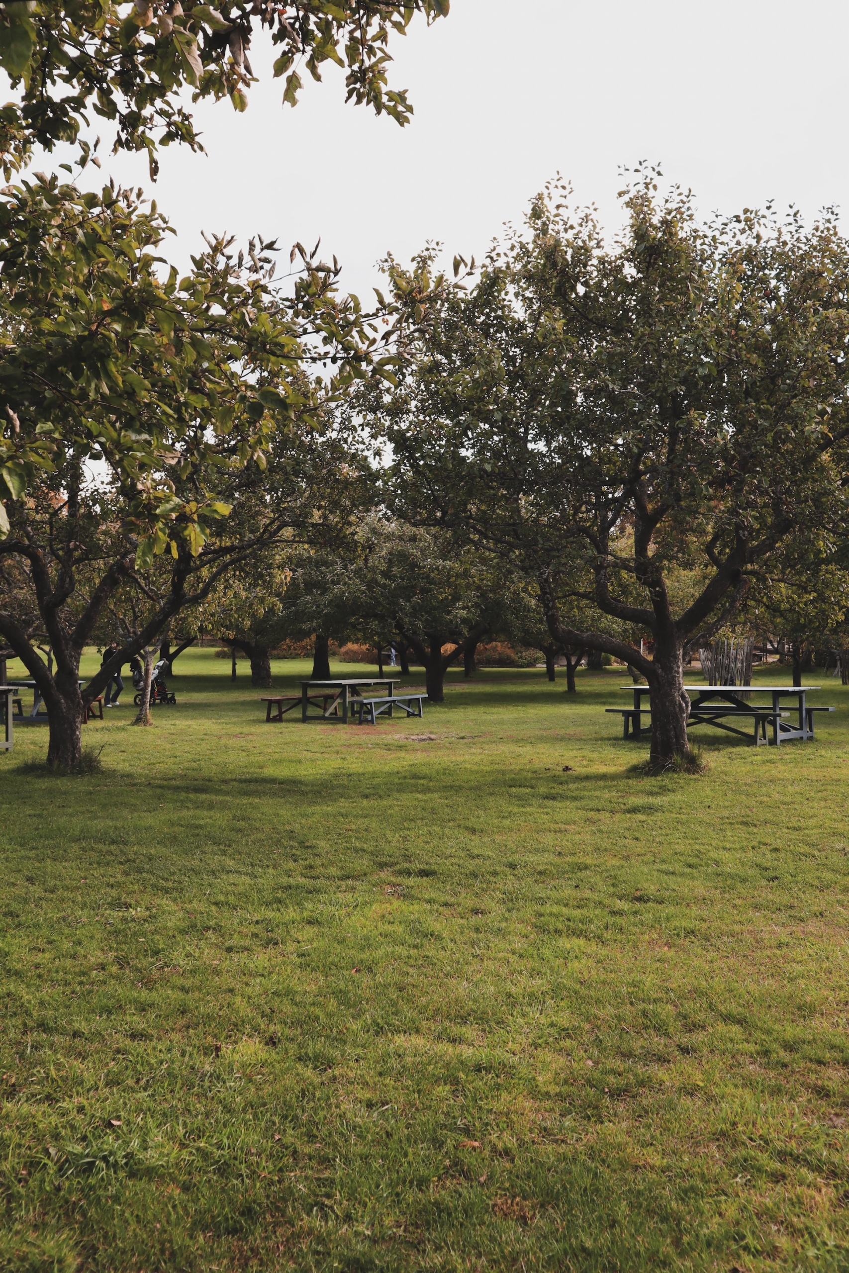 park walk get togheter, mindful walking